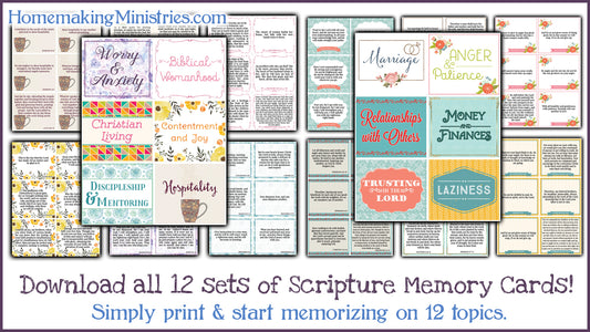 12 Sets of Scripture Memory Cards