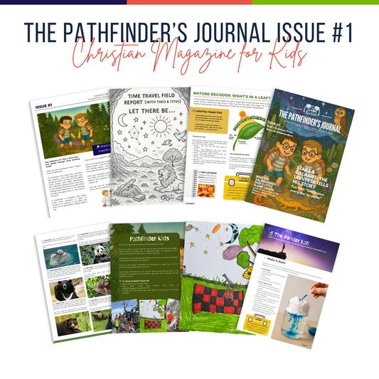 The Pathfinder's Journal: Issue #1