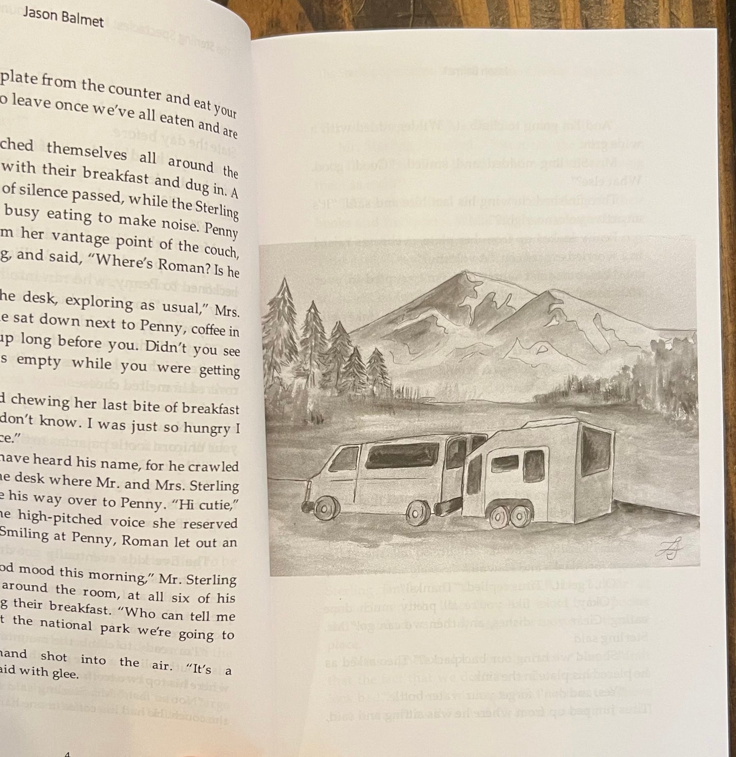 Book #2: Mayhem in Mt. Rainier National Park - PRINT