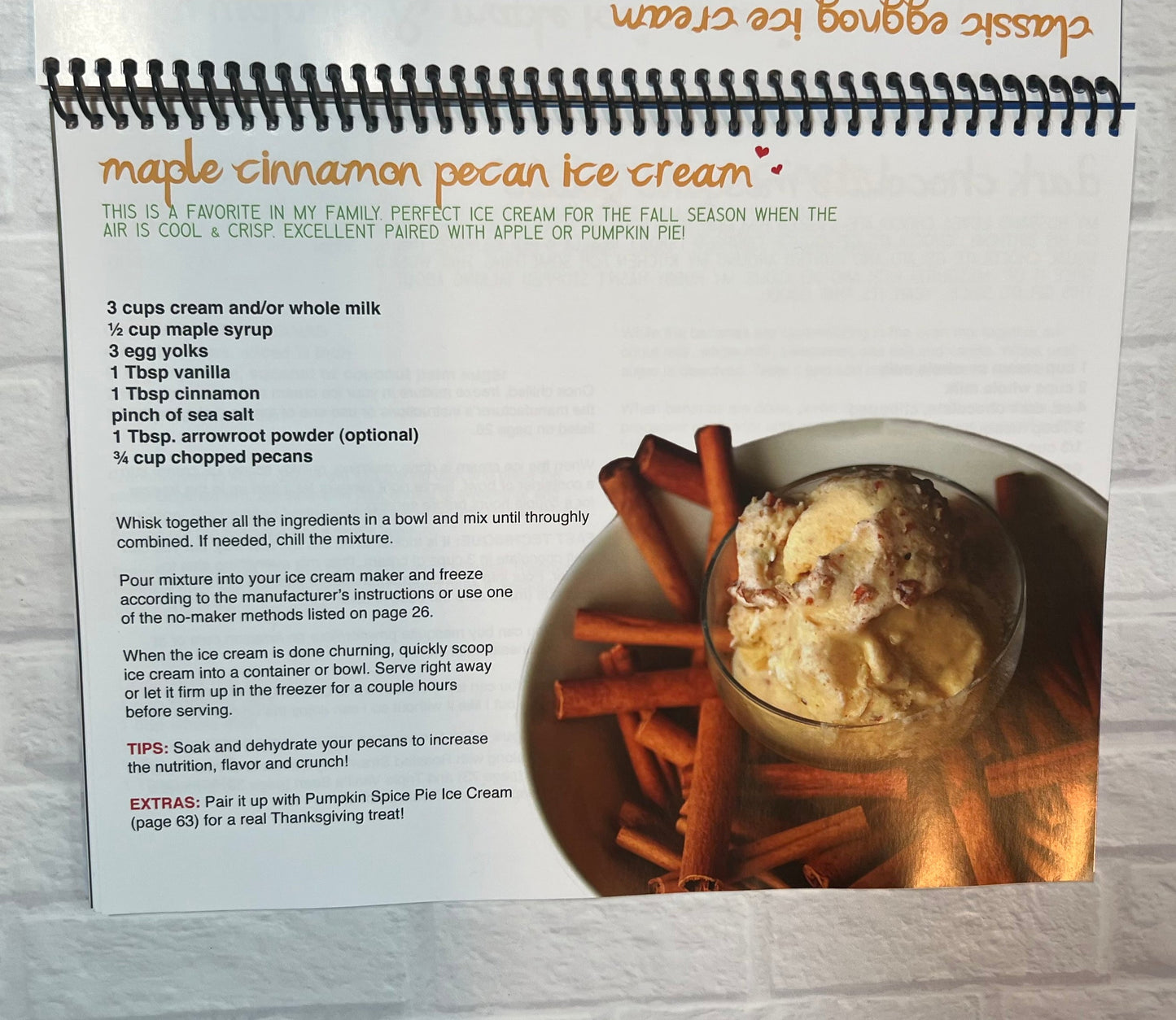 Just Making Ice Cream Cookbook - DIGITAL