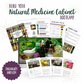 Build Your Natural Medicine Cabinet Bootcamp