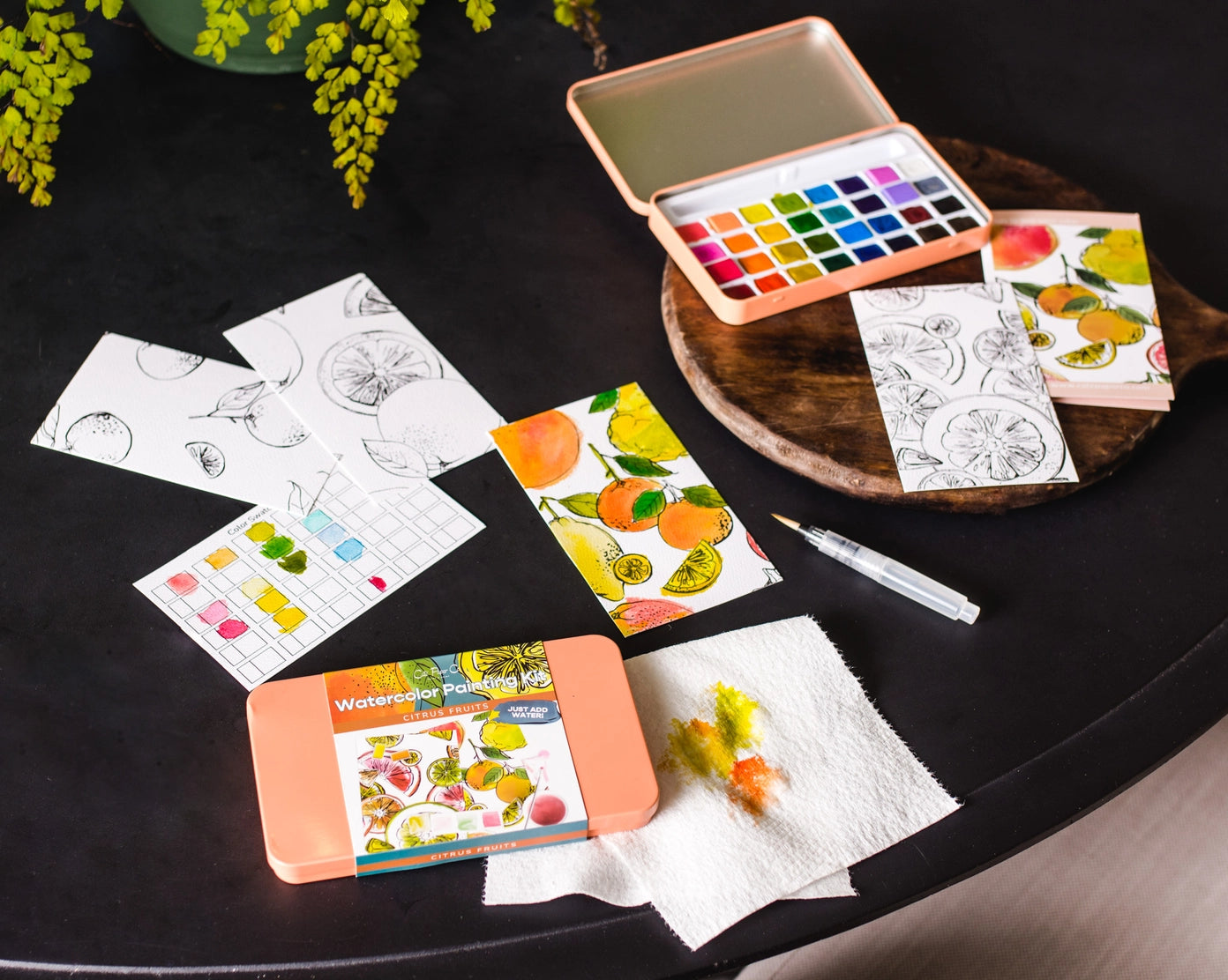 Watercolor Painting Kits