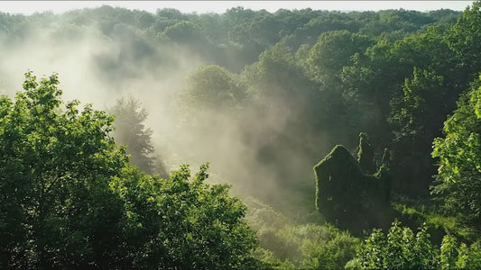 Hearthstead (The Rooted Lands, Book One)