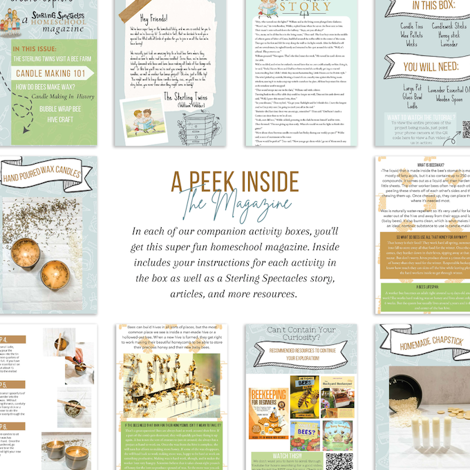 All About Bees Activity Box